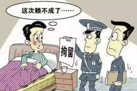 定西债务清欠服务